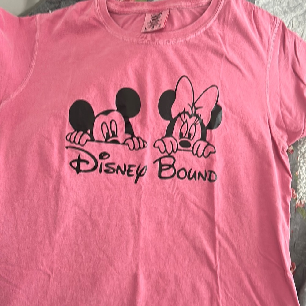 Women’s pink, Disney bound T-shirt. Matching child shirt in another listing.